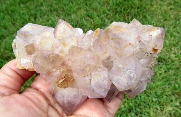243 GM Natural Spirit Amethyst Crystal Quartz Spirit Cactus (RE)