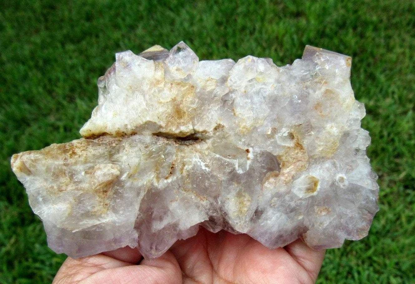 243 GM Natural Spirit Amethyst Crystal Quartz Spirit Cactus (RE)