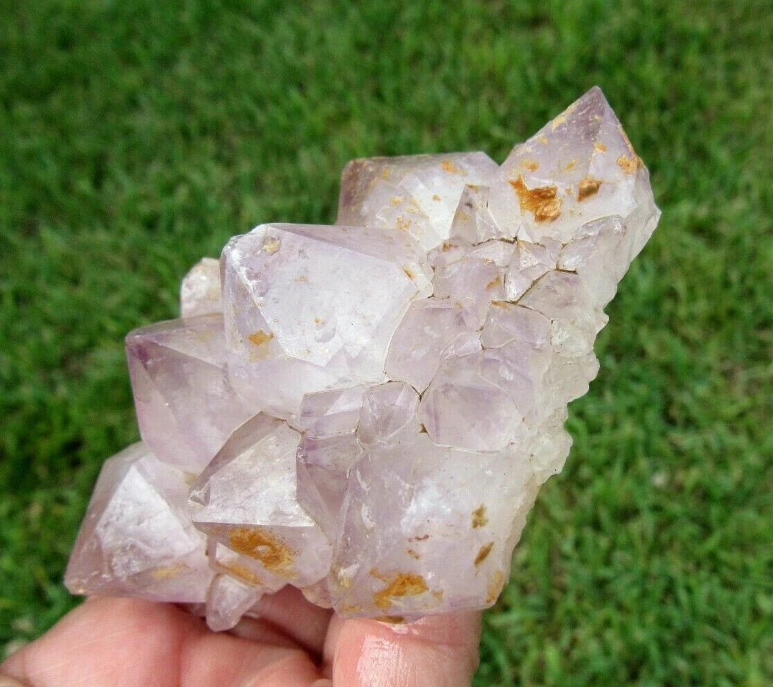 243 GM Natural Spirit Amethyst Crystal Quartz Spirit Cactus (RE)