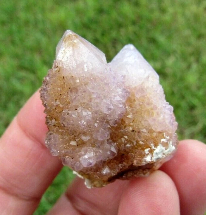 23 GM Natural Spirit Amethyst Crystal Quartz Spirit Cactus (WE)