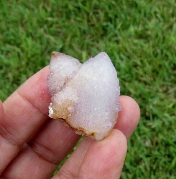 23 GM Natural Spirit Amethyst Crystal Quartz Spirit Cactus (WE)