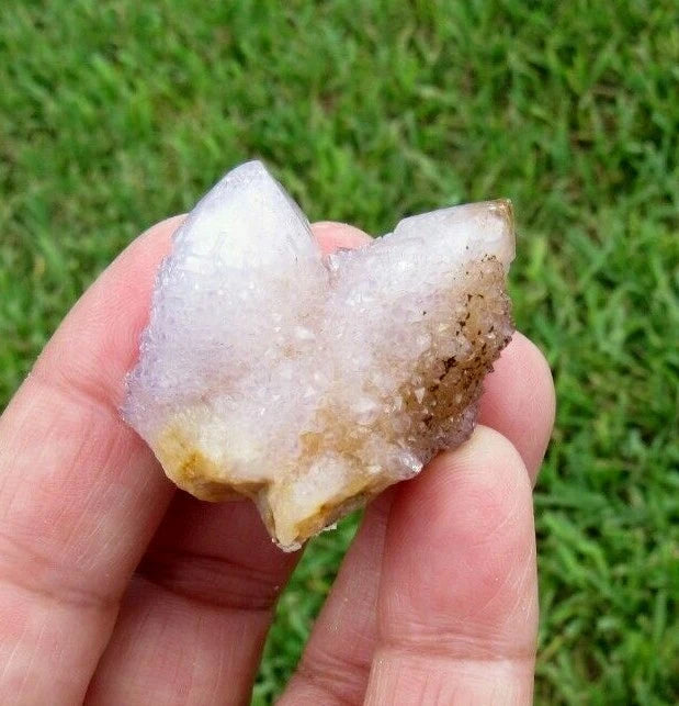 23 GM Natural Spirit Amethyst Crystal Quartz Spirit Cactus (WE)
