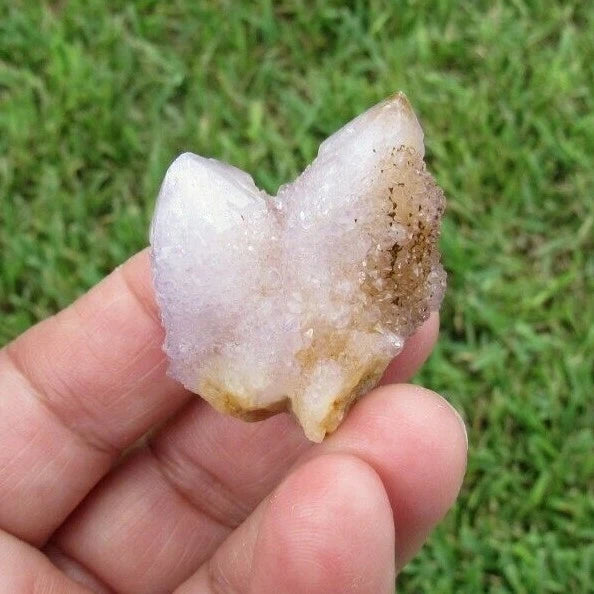 23 GM Natural Spirit Amethyst Crystal Quartz Spirit Cactus (WE)