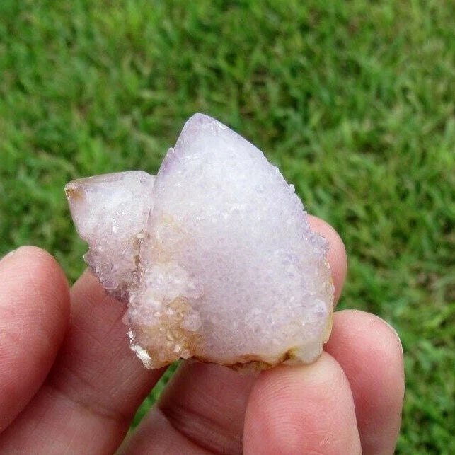23 GM Natural Spirit Amethyst Crystal Quartz Spirit Cactus (WE)