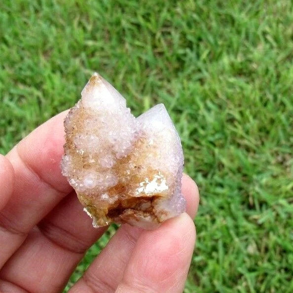 23 GM Natural Spirit Amethyst Crystal Quartz Spirit Cactus (WE)