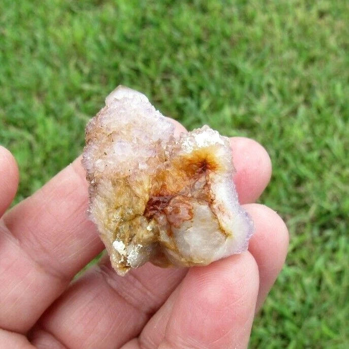 23 GM Natural Spirit Amethyst Crystal Quartz Spirit Cactus (WE)