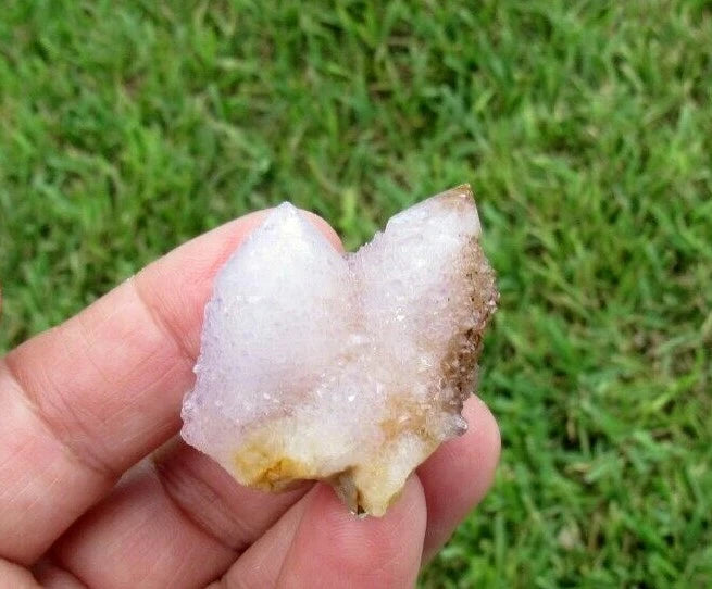 23 GM Natural Spirit Amethyst Crystal Quartz Spirit Cactus (WE)
