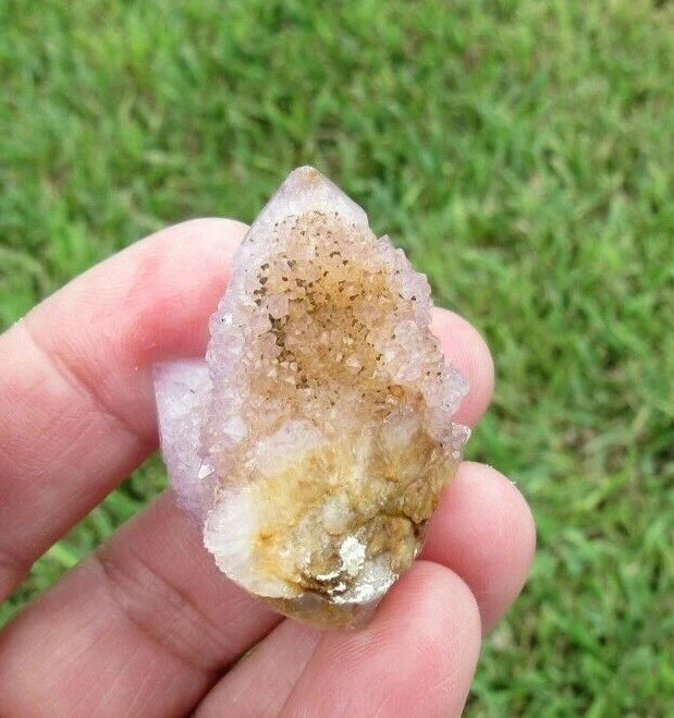 23 GM Natural Spirit Amethyst Crystal Quartz Spirit Cactus (WE)
