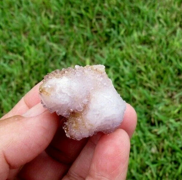 23 GM Natural Spirit Amethyst Crystal Quartz Spirit Cactus (WE)