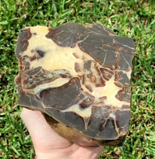5.39 LB AAA Septarian Nodule Rough Geode Lapidary (S-GT)