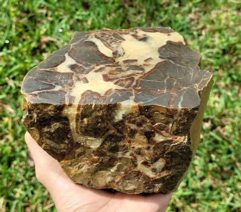 5.39 LB AAA Septarian Nodule Rough Geode Lapidary (S-GT)
