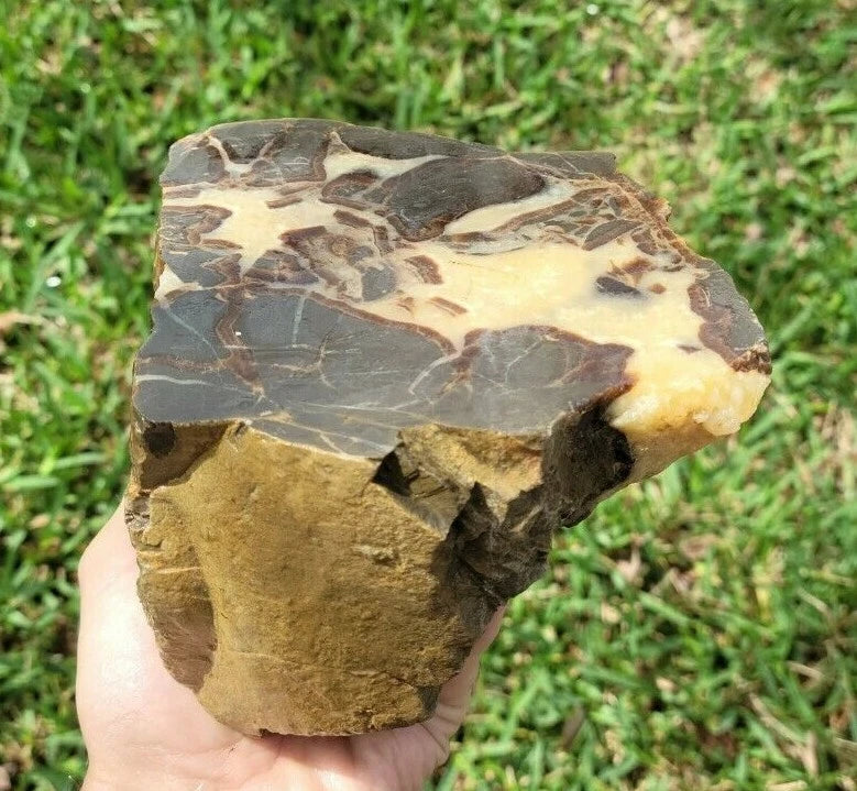5.39 LB AAA Septarian Nodule Rough Geode Lapidary (S-GT)