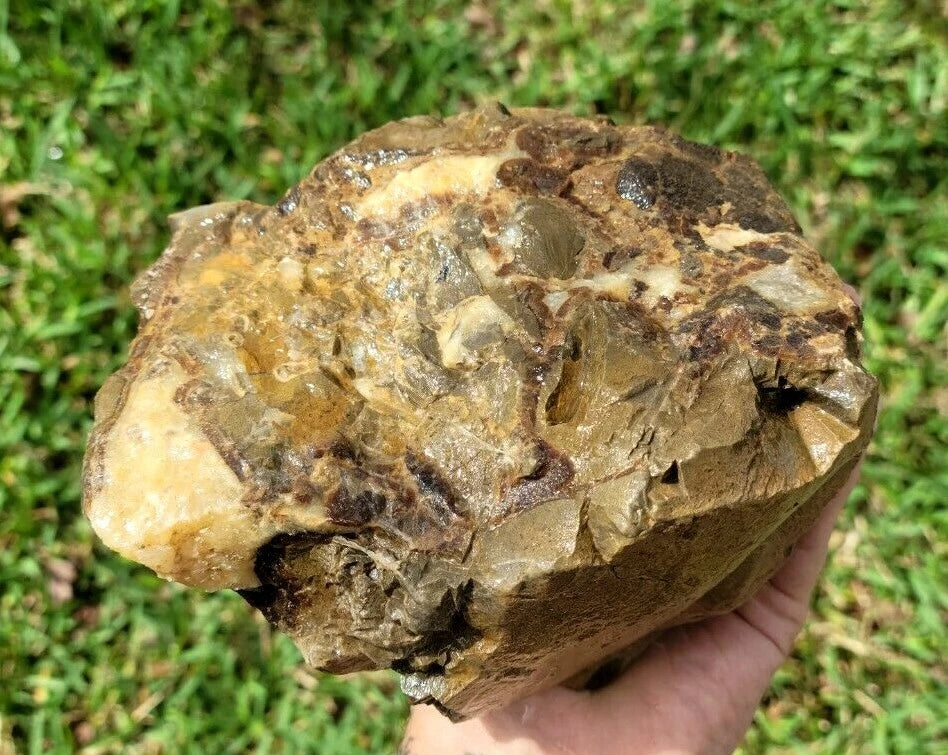 5.39 LB AAA Septarian Nodule Rough Geode Lapidary (S-GT)