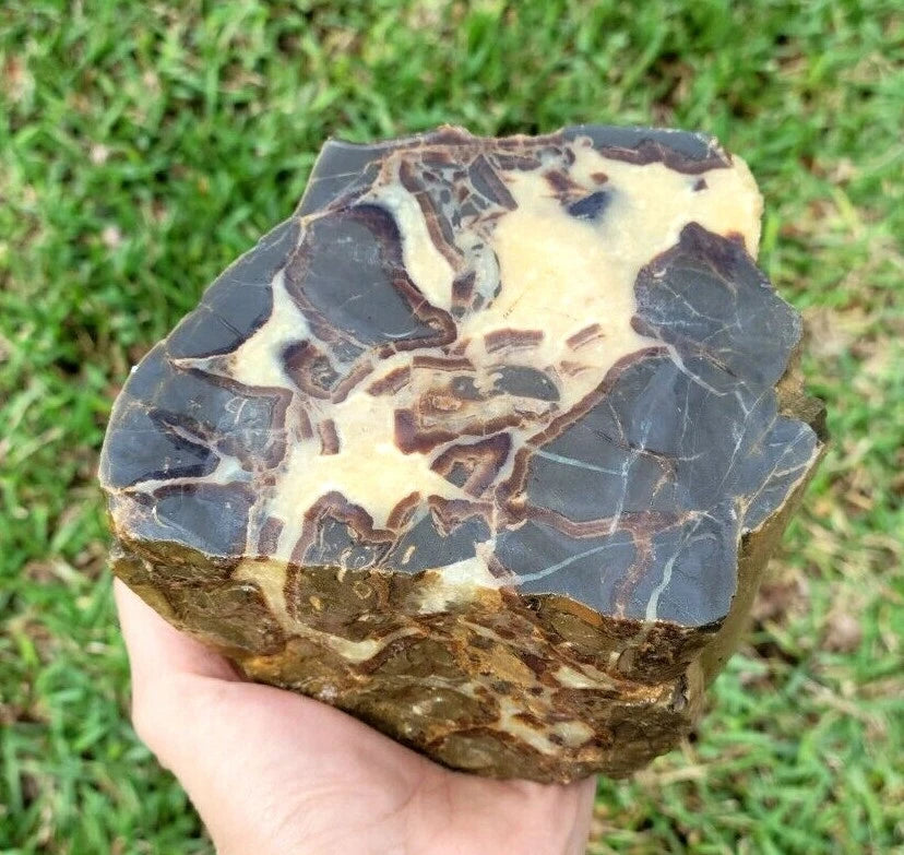 5.39 LB AAA Septarian Nodule Rough Geode Lapidary (S-GT)