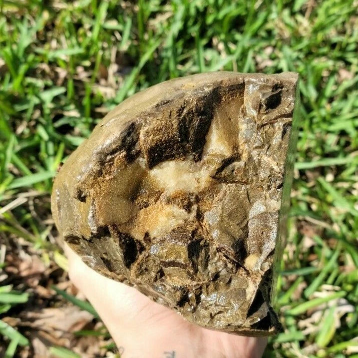 7.05 LB Septarian Nodule Rough Geode Lapidary (S-DSE)
