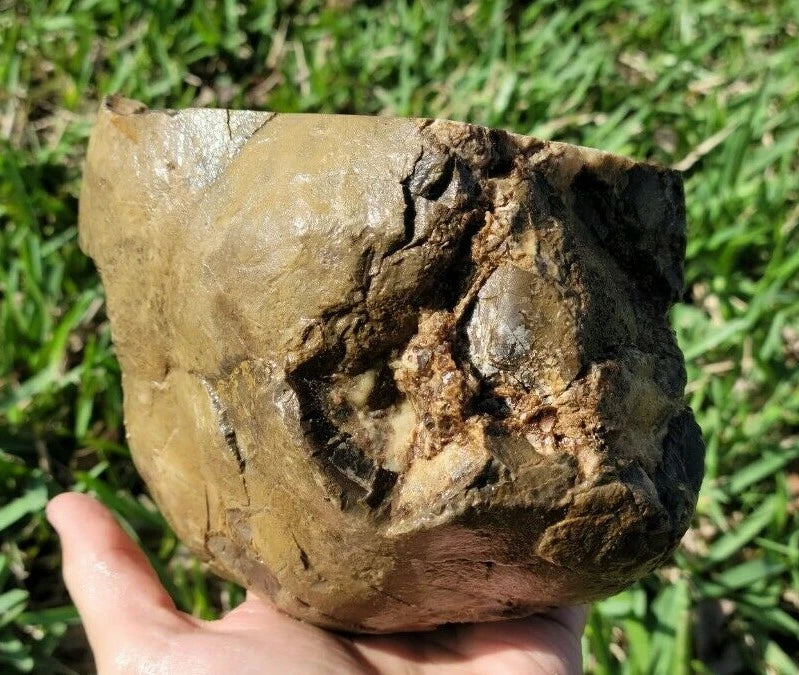7.05 LB Septarian Nodule Rough Geode Lapidary (S-DSE)