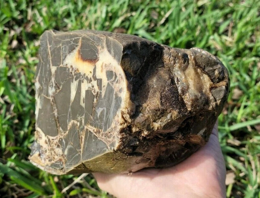 7.05 LB Septarian Nodule Rough Geode Lapidary (S-DSE)