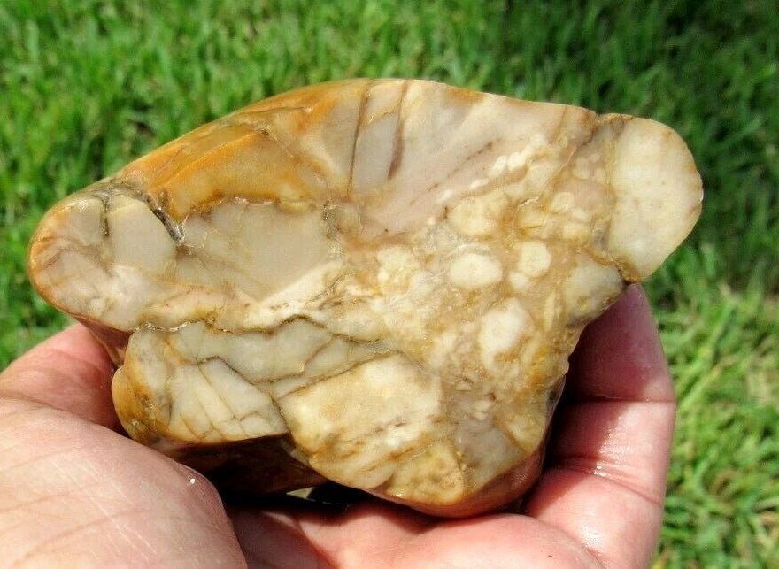 0.96 LB  Montana Agate Rough Lapidary Specimen (R-BE6)
