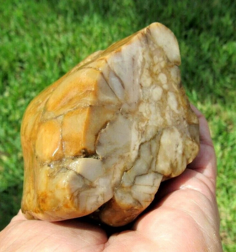 0.96 LB  Montana Agate Rough Lapidary Specimen (R-BE6)